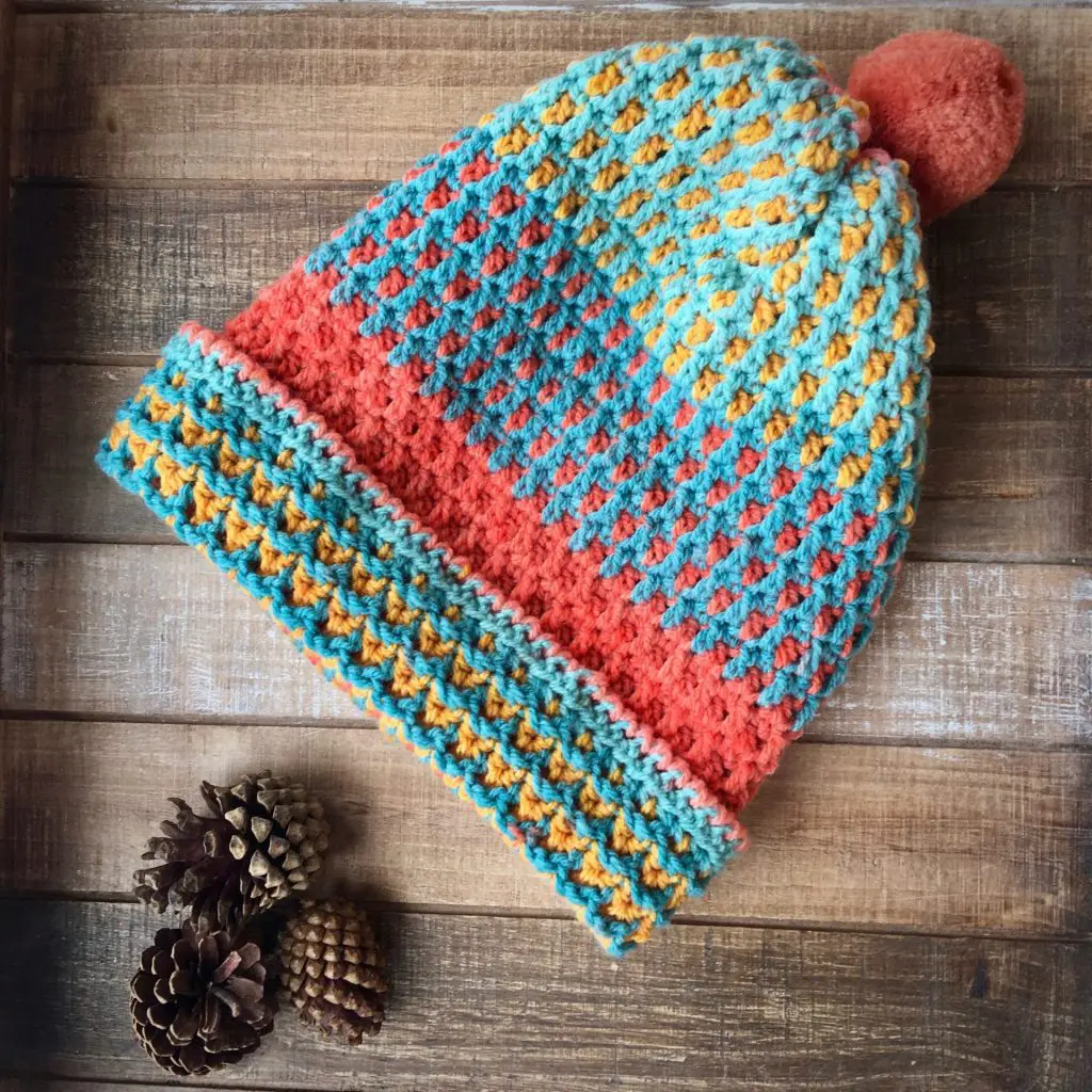 Caron Cupcake Free Crochet Pattern Hat with Woven Look
