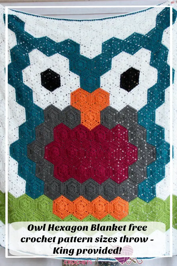 Owl Hexagon Blanket a free crochet pattern