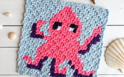 Crochet Octopus free C2C graph pattern