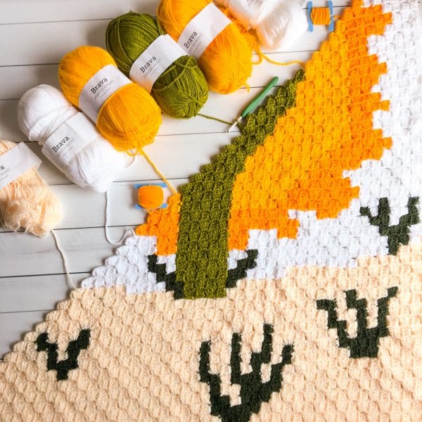 free crochet cactus desert blanket