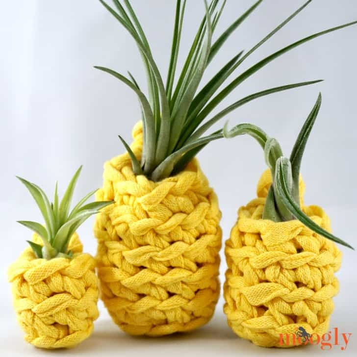 Lucky Pineapple Basket by Moogly