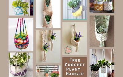 Free Crochet Plant Hanger Patterns: Elevate Your Greenery!