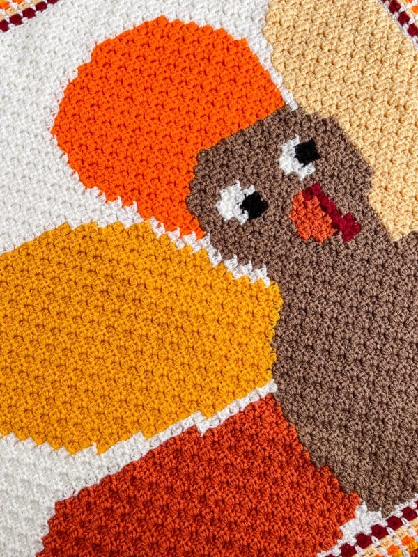 Turkey C2C Blanket free crochet pattern